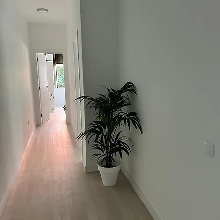 Appartement Tantulia Callao 57 Aptartamento 5hab Centro De La Capital En Tenerife *