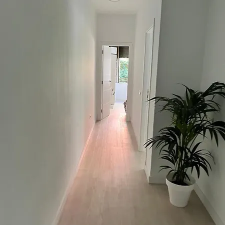 Apartamento Tantulia Callao 57 Aptartamento 5hab Centro De La Capital En Tenerife